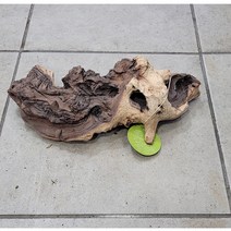 투톤유목15~25cm 20~30cm 랜덤배송
