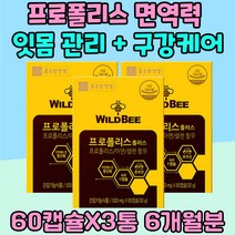 환절기 면역력 잇몸 관리 프로폴리스 구강케어 항산화 셀레늄 케어 목구멍냄새 구강건조 아연 입안헐었을때 마늘 추출물 혓바늘 건강식품 구취 환절기 건강 관리 PROPOLIS 꿀벌