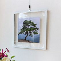 데코밍샵투명액자38CmX38Cm_건강과성공의소나무_프레임액자_ac835, 블랙
