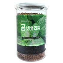 헬로우그린 국산 곰보배추 환 250g 설견초 배암차즈기, 1개