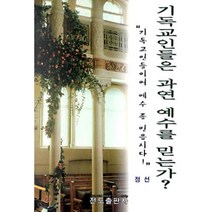 기독교인들은 과연 예수를 믿는가? : 기독교인들이여 예수 좀 믿읍시다!, 전도출판사, 정선 저