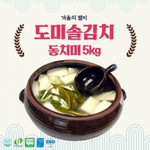 eTV 도미솔김치 동치미5kg, 1