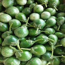 태국가지 500G 커밋가지 Kermit Eggplant 마크아, 1개