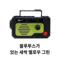 자가발전 휴대용 미니 야외 비상 라디오 생존가방 태양열 핸드 수신기, D.KK-228WB 버드 옐로우 그린(블루투스 포함)