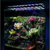 비바리움 테라리움 만들기 식물 이끼 DIY 유리 케이스 팔루다리움, (90x45x45cm/배수장치)