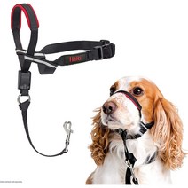 조절이쉬운 대형견 중현견 소형견 당김방지 젠틀리더 Halti Optifit Headcollar Bestselling Dog Head Harness, S
