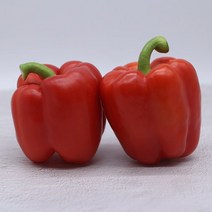 가락시장 홍피망 2kg (국내산), 단품