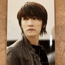 일본아이돌굿즈 윈즈 멤버사진 w-inds. 51