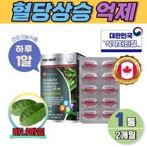 바나바잎 혈당상승 억제 바나나잎 캡슐 2개월 아연 크롬 식약처인증 하루한알 셀렌 코로솔산 60정 캐나다 케나다 직수입 해외직구 혈당건강