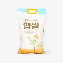 팩마트 올해갓수확한햅쌀 손잡이(4~5kg) 쌀 포장지 봉투, 290x500 [1박스／300장]