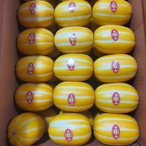 고당도 꿀 성주 참외 2kg 3kg 5kg, 가정용, 성주 참외 소과 5kg