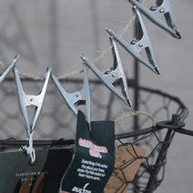 fresh 덜튼클립 A형 10p세트, 10개