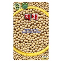 백태씨 30g 콩씨 백태 씨앗 대장 KS종묘