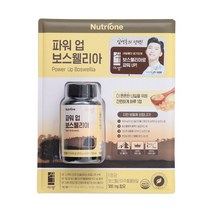 뉴트리원 파워업 보스웰리아 500mgX120정 활력이필요하신분 4개월분 사막의진주 유향나무수액 무릎 관절 연골 영웅건강영양제