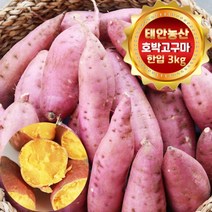 태안 산지직송 해풍맞은 호박고구마 3kg (중 두세입/50g~90g), 1박스