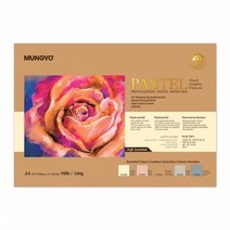 문교 파스텔 전용지 컬러 A4 30매 160g, 단품