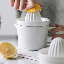 가정용 생과일 착즙기 원액기 포도 미니 생즙기, B