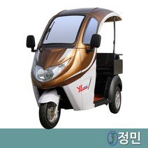 노인전동차 S-450 2인승 마실용 캐노피 노인전동스쿠터, 1