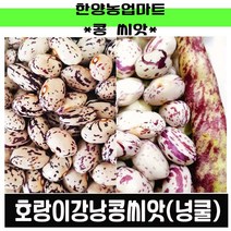 콩-호랑이콩 200g 호랑이강낭콩/넝쿨성/넝쿨/덩쿨/덩굴강낭콩/씨앗/종자