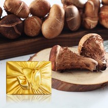 [향채움] 국내산 참송이버섯 1kg 선물세트, 없음, 상세설명 참조