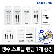 삼성정품 C to C타입 고속 급속 초고속 충전 케이블 15W 25W 45W PD PPS, 삼성 25W CtoC 케이블 블랙 1m+펭수스트랩