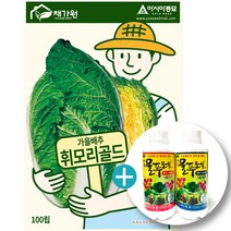 휘모리골드 배추(100립)+대유 물푸레 1호 세트-수경재배용 양액비료
