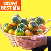 농수산특별시 당도보장 부산 대저 짭짤이 토마토, 2.5kg 중과 (M), 1박스