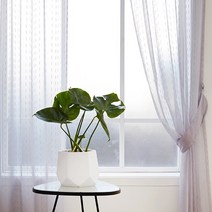 한스데코 라인 자수 스티치 레이스 커튼