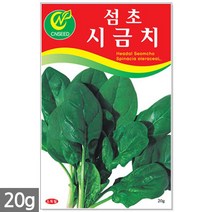 땅콩 씨앗 30g - 씨 땅콩씨앗 땅콩씨 콩씨앗 콩씨 견과류 주말농장 텃밭, 08_섬초시금치(20g)