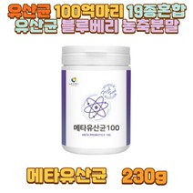 유산균 100억마리 19종혼합유산균 블루베리 농축분말 적포도 퍼플푸드 유산균배양분말 과일야채혼합농축분말 낙산균 함유 락토바실러스 애시도필러스 람노서스 가세리 루테리 온가족 중 고등 대 학생 직장인 성인