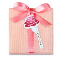 [인디케이] [금박] 은은한 카네이션 땡큐 텍 5개