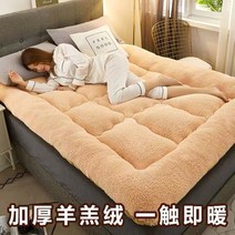 겨울 두꺼운 양털 토퍼 램스울 자가 발열 매트리스 침대 매트 양면 이불 패드 10cm, B