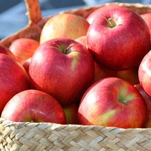 경북 가정용 꿀 사과 4kg, 가정용사과4kg(25과내외)