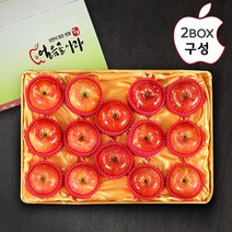 [산내들] 명품 밀양얼음골 기스사과 10kg(30내), 상세 설명 참조