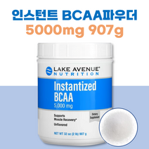 레이크에비뉴 인스턴트 BCAA 파우더 무맛 907g