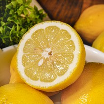 [레몬20개] 산정마을 정품 레몬 중과, 1박스, 레몬 20개(개당120g내외)