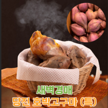 계절식탁 새벽경매 달달촉촉 당진 호박고구마, 특 5kg