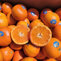 캘리포니아 큐티스 만다린 오렌지귤 신비귤, 만다린귤 2kg(2팩), 2개