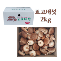 생 표고버섯 농장 산지직송 중품 2kg