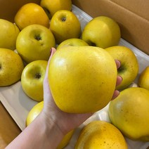 황금사과 시나노골드 정품용 가정용 흠집용 사과 꼬마 쥬스용 사과 3kg 5kg 10kg, 쥬스용 9kg