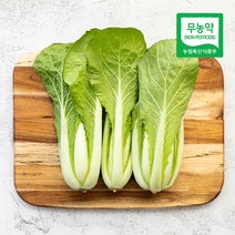 삼시세끼연구소 친환경 열무 얼갈이 배추 단배추 얼갈이배추김치 겉절이 용 500g, 1개