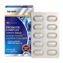 내츄럴플러스 프로바이오틱 혼합유산균 500mgx60캡슐(총30g) 2개월분 1박스