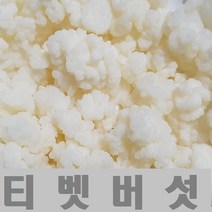 티벳버섯 케피어그레인, 이십그램(대용량)