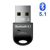블루투스앰프 프리앰프 파워앰프 USB 블루투스 어댑터 5.1 블루투스 수신기 USB 블루투스 5 0 동글 5.0 BT, 02 Bluetooth 5.1