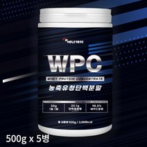 WPC 농축유청단백 분말 500g 류신 발린 아르지닌 단백질 쉐이크 보충제 프로틴 미국산 운동직후 운동전후 운동할때 헬스 프로틴 헬스보충제 BACC 근육만들기, 500gx5병