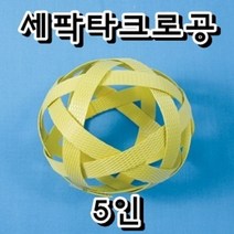 세팍타크로공 5인세트
