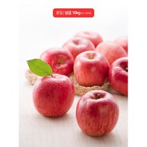 고당도 청송 부사 국산 사과 상등급 중소과 10kg 친정