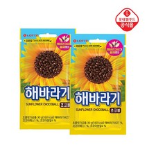 해바라기 초코볼 30g x 10개