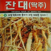 [가람종묘사] 잔대(딱주) 씨앗(다년생 초본식물로 종자가 귀한 재래종 산야초)