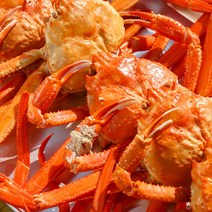 뉴데이스 구룡포 조업 금어기 풀린 살찐 홍게 고급형 가성비 실속형 10미 3kg 2.5kg, 고급형(10미), 소 2.5kg, 1개